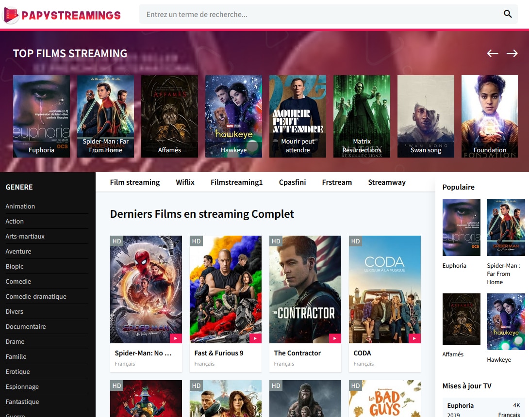 PAPYSTREAM POURQUOI LE SITE NE FONCTIONNE PLUS ET O LE RETROUVER visual data 8